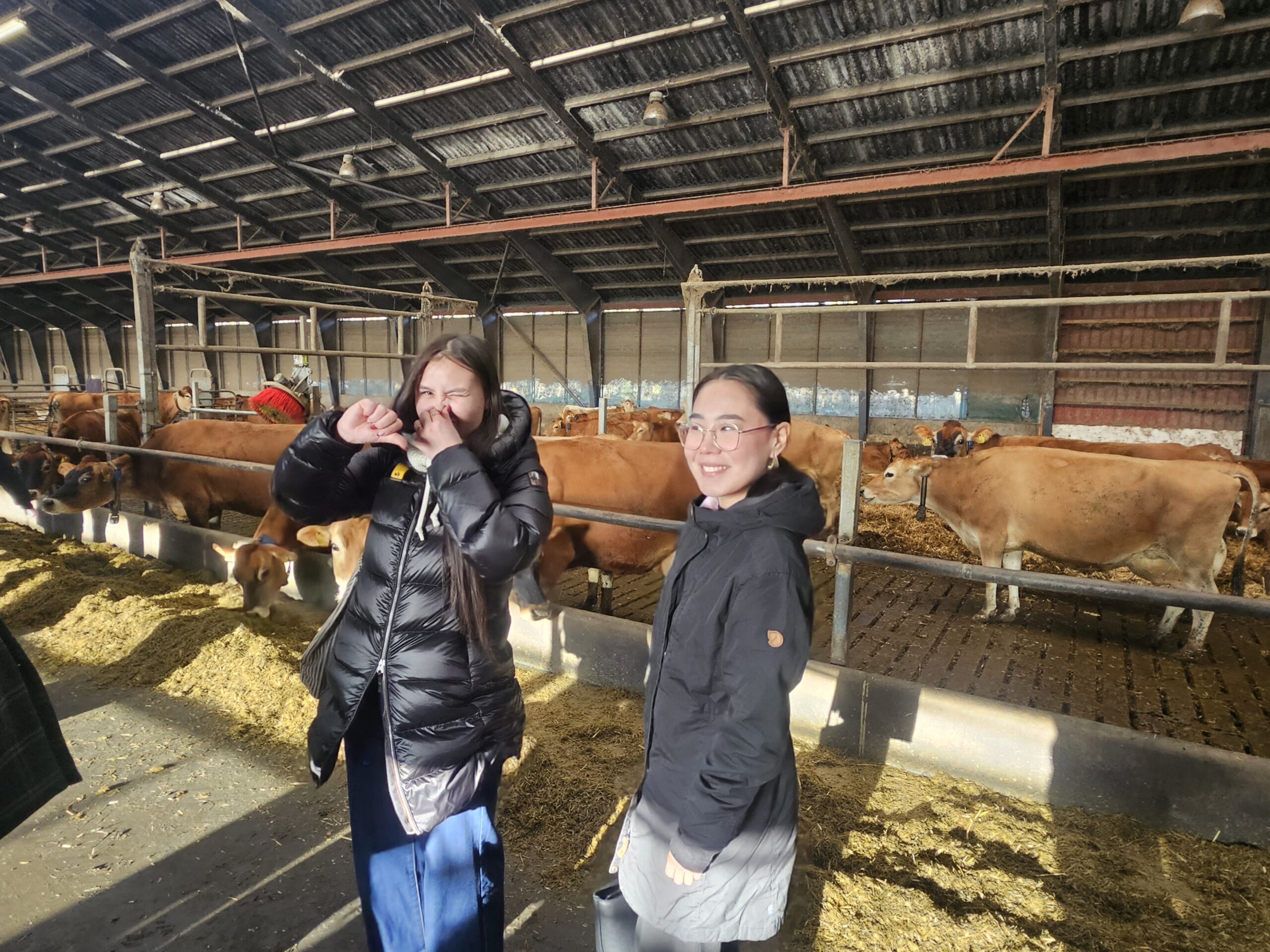 Studierejse til Roskilde